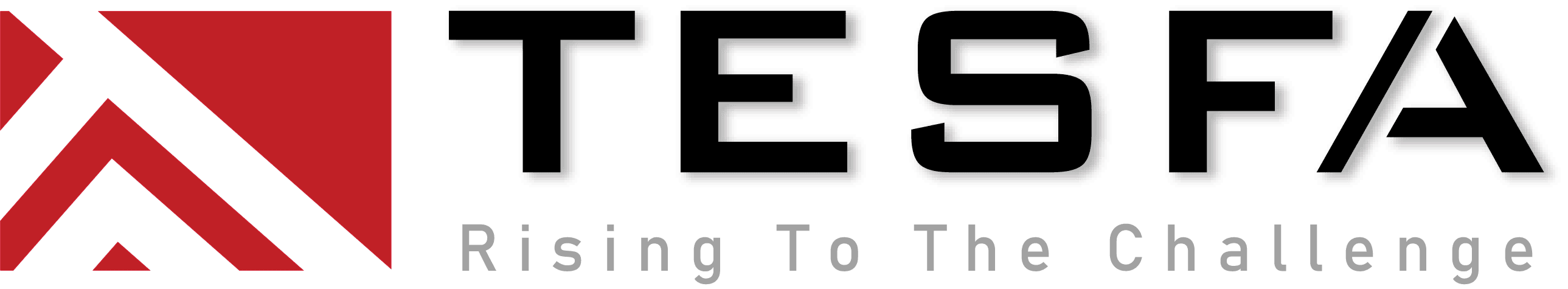 TESFA Co., Ltd.